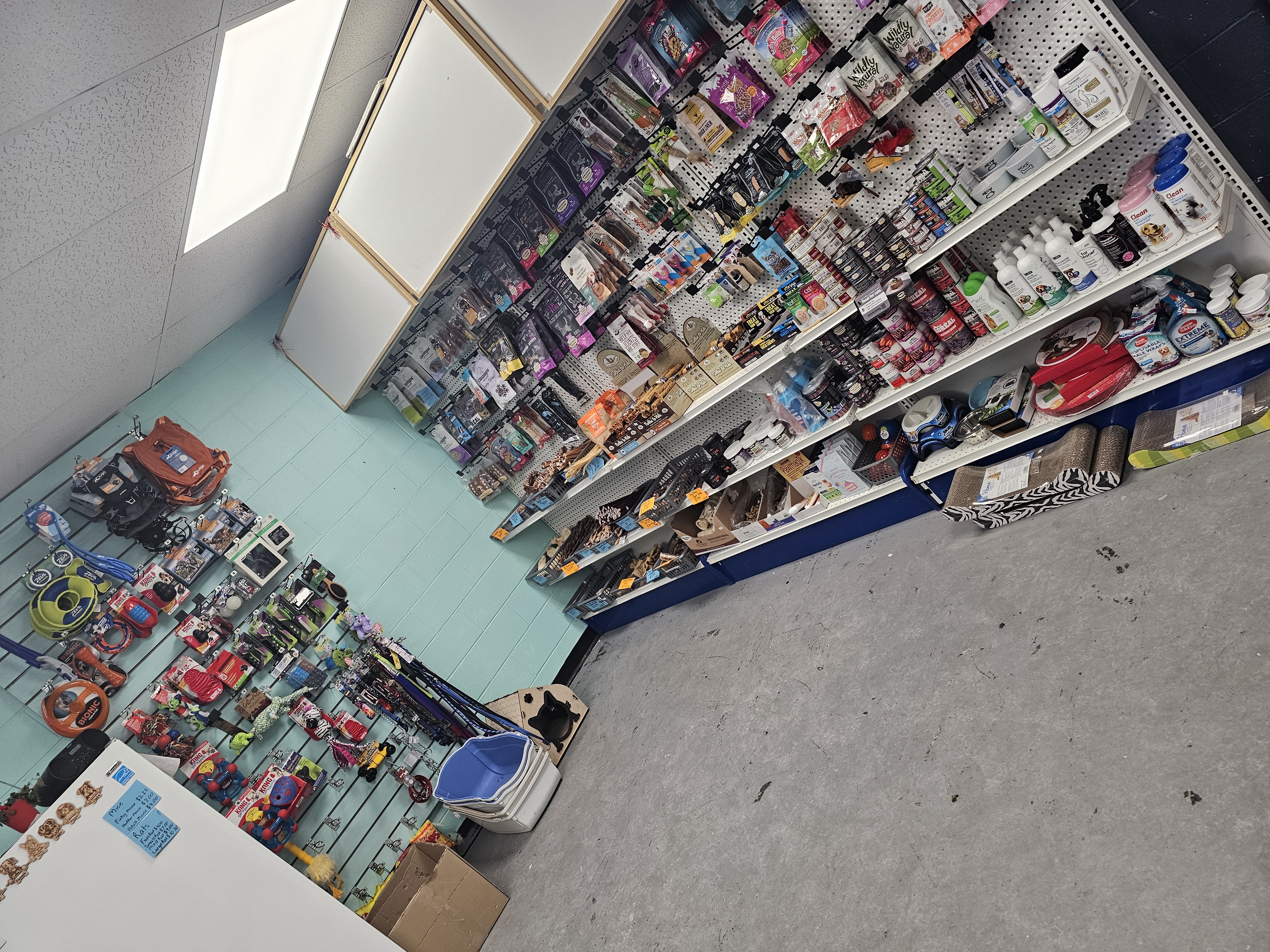 Wall display of various dog treats at East Coast Pets